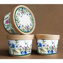 Reklamowa kwitnąca herbata w kubeczku z logo - 7 sztuk - WZ-05 - Agencja Point