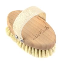 Szczotka tampico z logo - Agencja Point