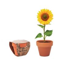 Reklamowy zestaw do uprawy kwiatów - słonecznik - Agencja Point - MO6147-40