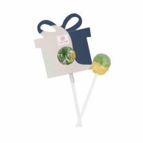 Reklamowy lizak z etykietą, domek z logo - Agencja Point - LIZ-0452B