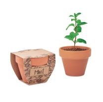 Reklamowy zestaw do uprawy mięty - Agencja Point - MO2218-40