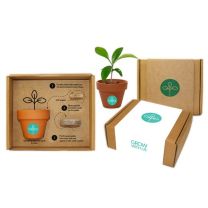 Reklamowy zestaw do uprawy rośliny - ZIEL-01 - Agencja Point